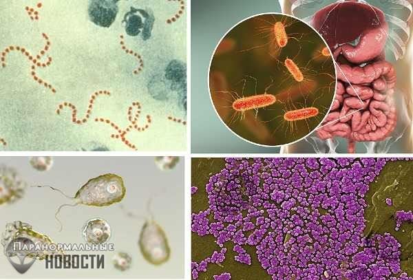 10 бактерий, которые могут заживо съесть человека
